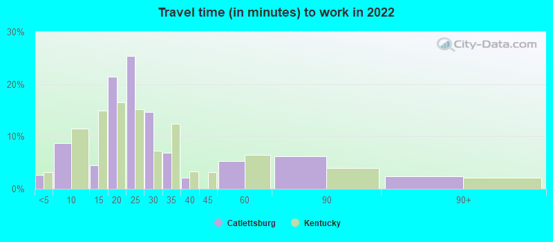 Travel time (in minutes) to work in 2022