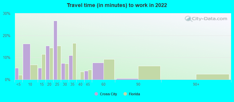 Travel time (in minutes) to work in 2022