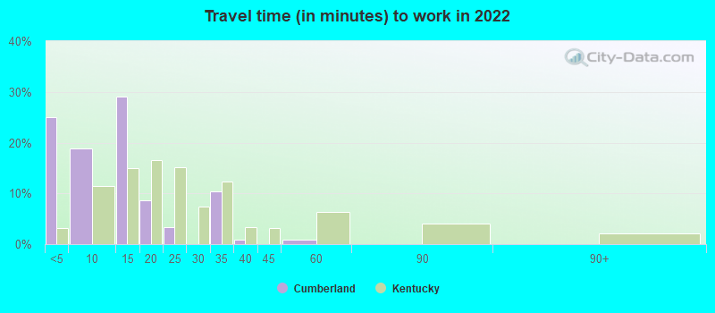 Travel time (in minutes) to work in 2022