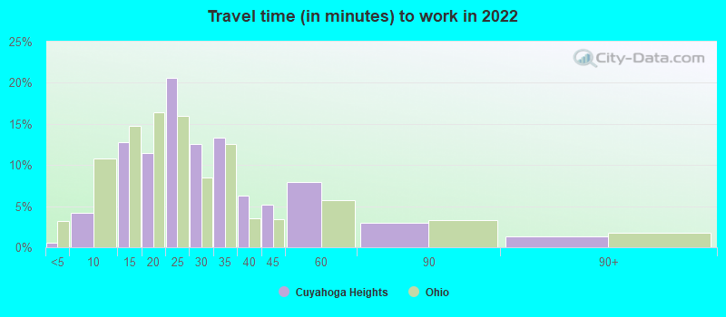 Travel time (in minutes) to work in 2022