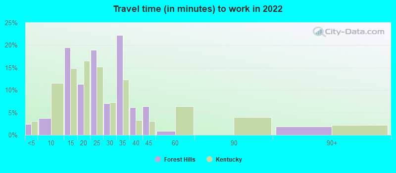 Travel time (in minutes) to work in 2022