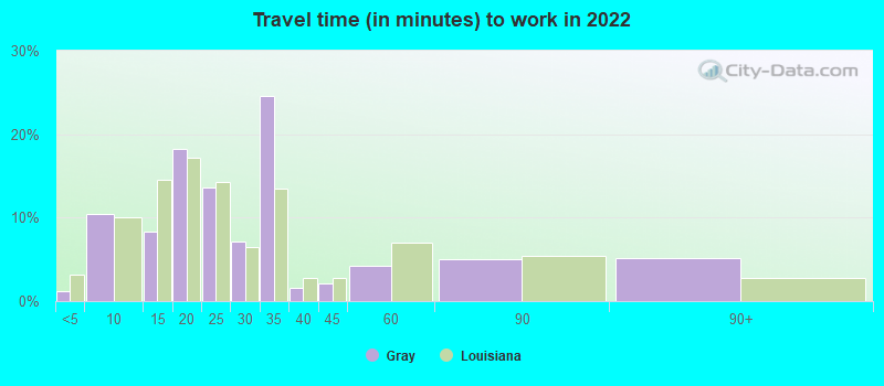 Travel time (in minutes) to work in 2022