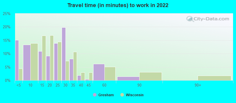 Travel time (in minutes) to work in 2022