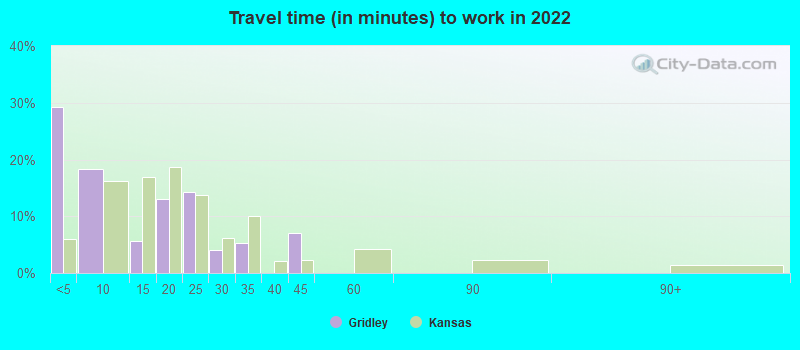 Travel time (in minutes) to work in 2022