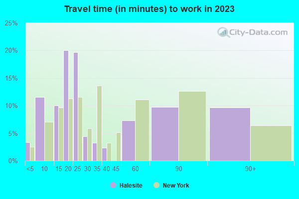 Halesite, New York (NY 11743) profile population, maps, real estate