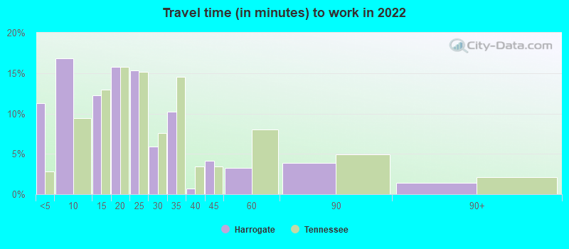 Travel time (in minutes) to work in 2022