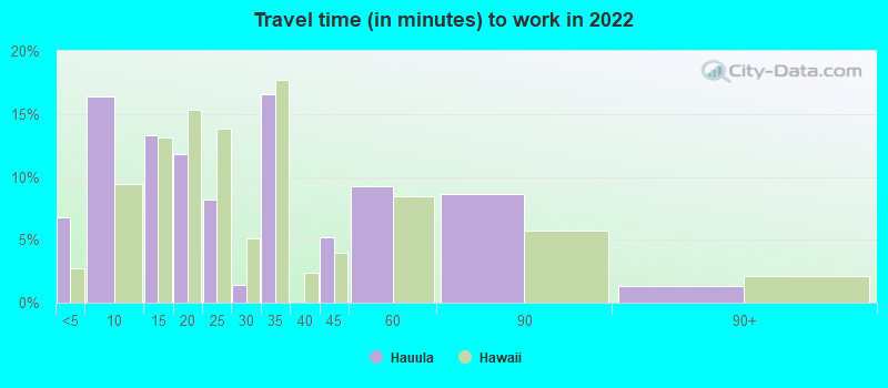 Travel time (in minutes) to work in 2022