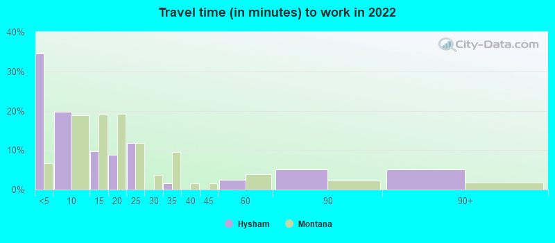 Travel time (in minutes) to work in 2022