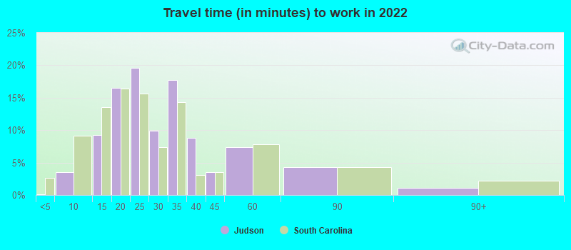 Travel time (in minutes) to work in 2022