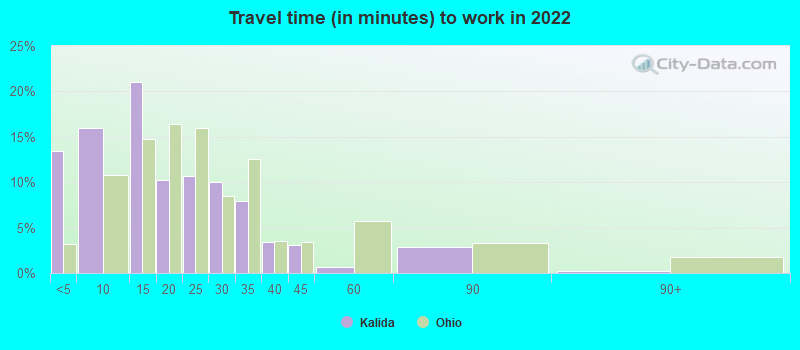 Travel time (in minutes) to work in 2022