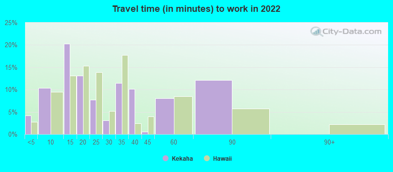 Travel time (in minutes) to work in 2022