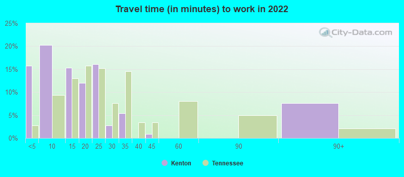 Travel time (in minutes) to work in 2022