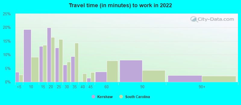 Travel time (in minutes) to work in 2022