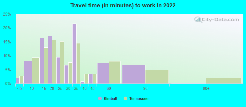 Travel time (in minutes) to work in 2022