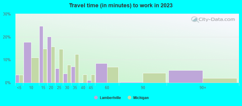 Travel time (in minutes) to work in 2022