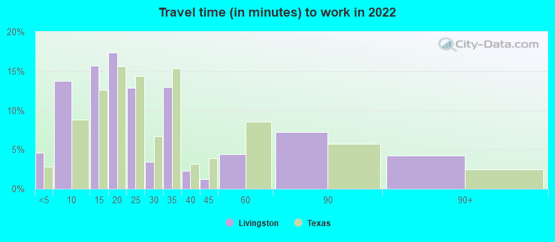 Travel time (in minutes) to work in 2022