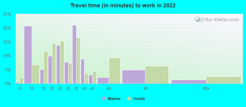 Travel time (in minutes) to work in 2022