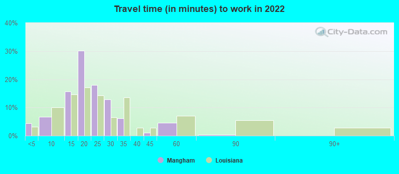 Travel time (in minutes) to work in 2022