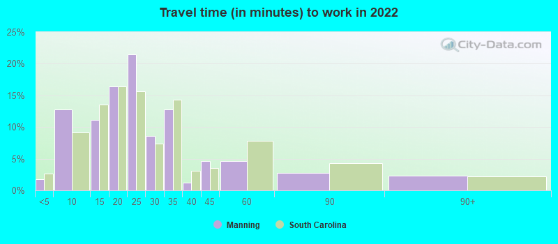 Travel time (in minutes) to work in 2022