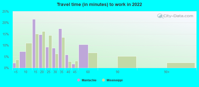 Travel time (in minutes) to work in 2022