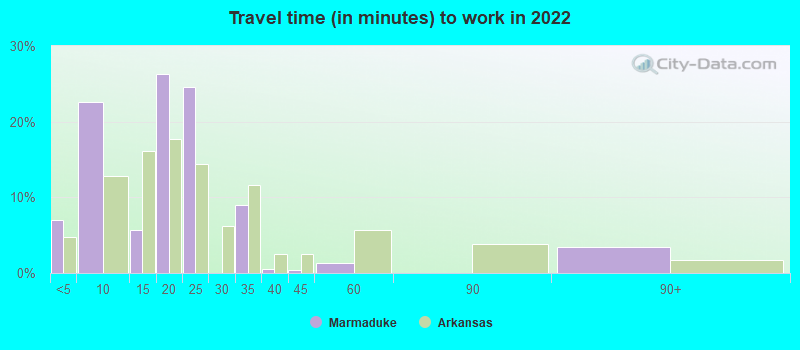 Travel time (in minutes) to work in 2022