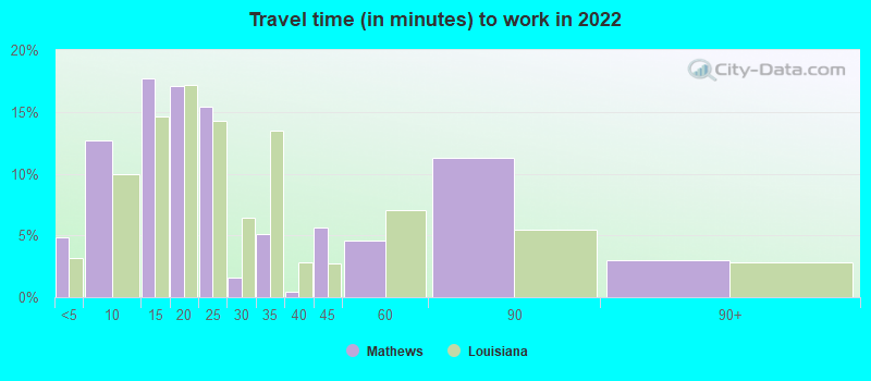 Travel time (in minutes) to work in 2022