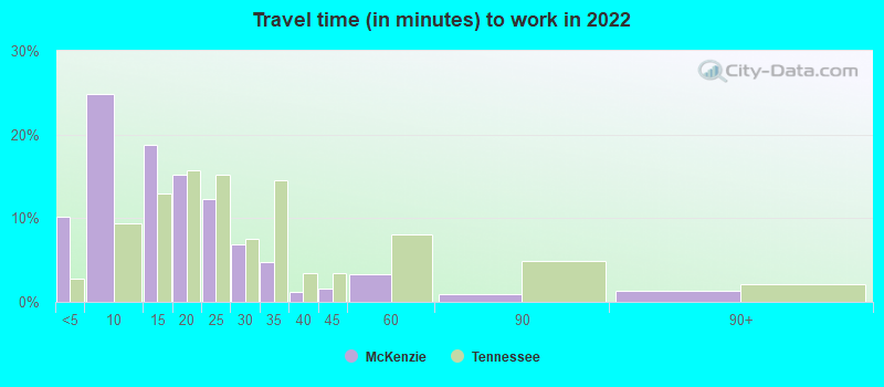 Travel time (in minutes) to work in 2022