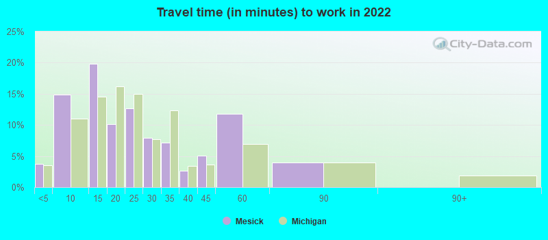 Travel time (in minutes) to work in 2022