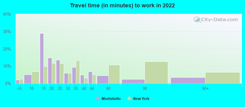 Travel time (in minutes) to work in 2022