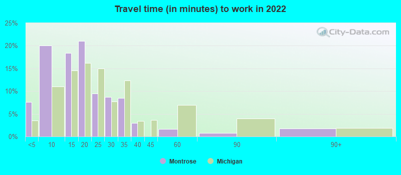 Travel time (in minutes) to work in 2022