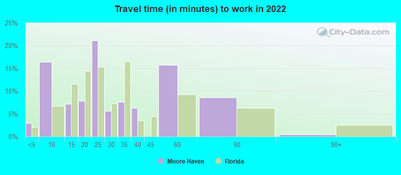 Travel time (in minutes) to work in 2022