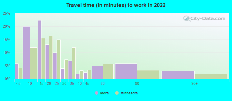 Travel time (in minutes) to work in 2022