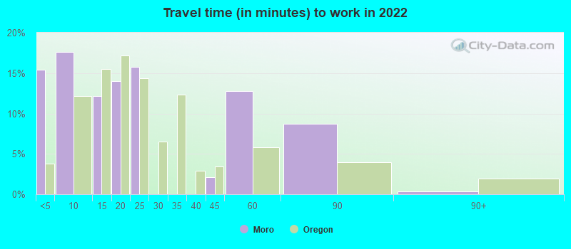 Travel time (in minutes) to work in 2022