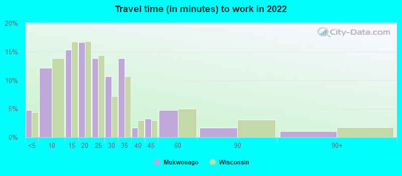 Travel time (in minutes) to work in 2022