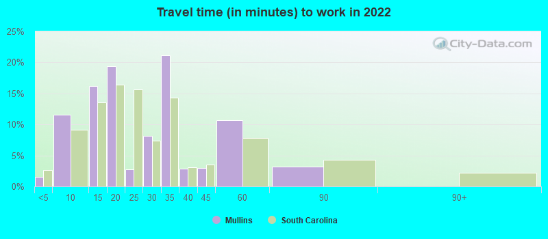 Travel time (in minutes) to work in 2022