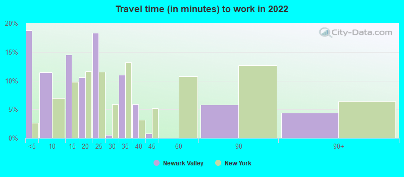 Travel time (in minutes) to work in 2022