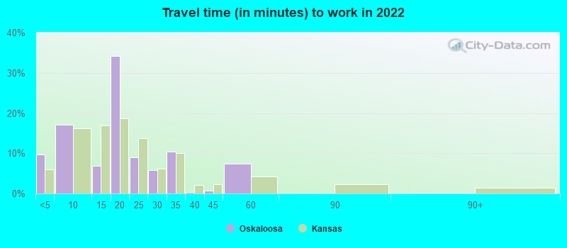 Travel time (in minutes) to work in 2022