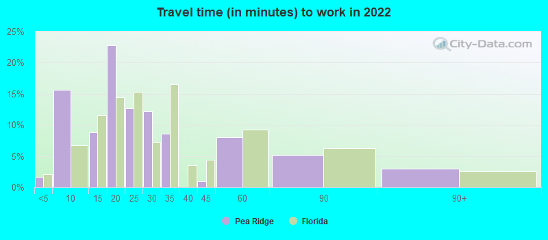 Travel time (in minutes) to work in 2022