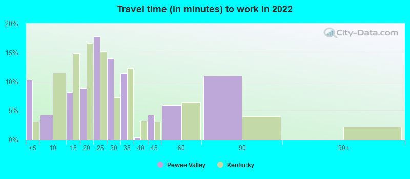 Travel time (in minutes) to work in 2022