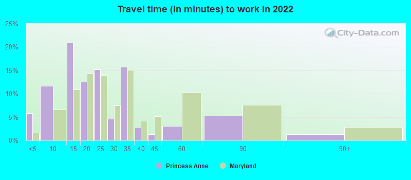 Travel time (in minutes) to work in 2022