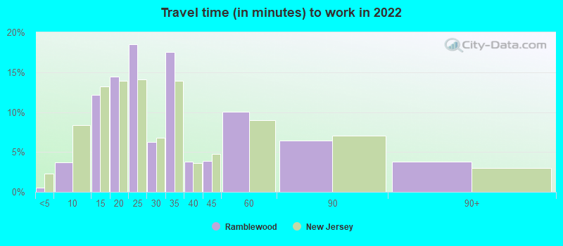 Travel time (in minutes) to work in 2022