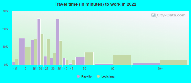 Travel time (in minutes) to work in 2022