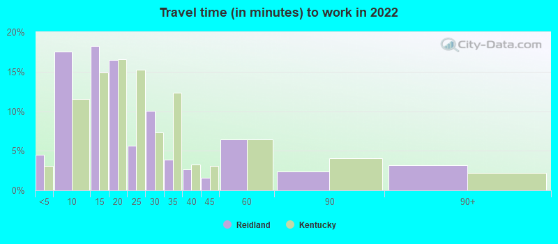 Travel time (in minutes) to work in 2022