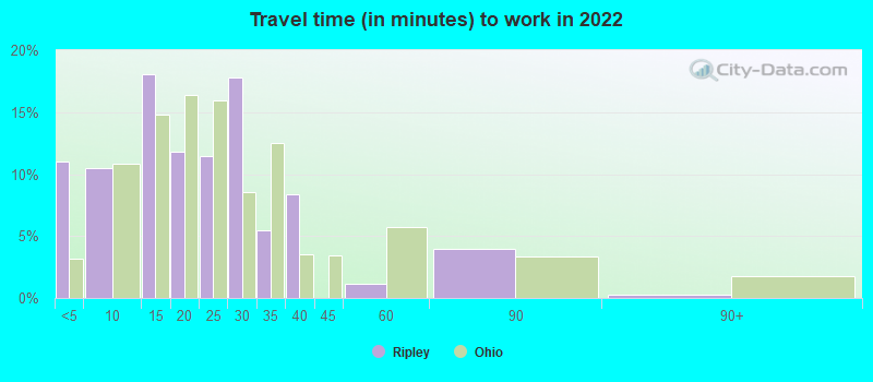 Travel time (in minutes) to work in 2022