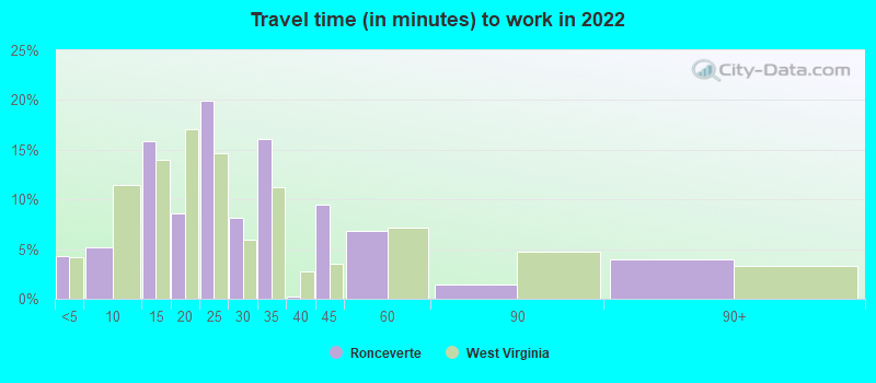 Travel time (in minutes) to work in 2022