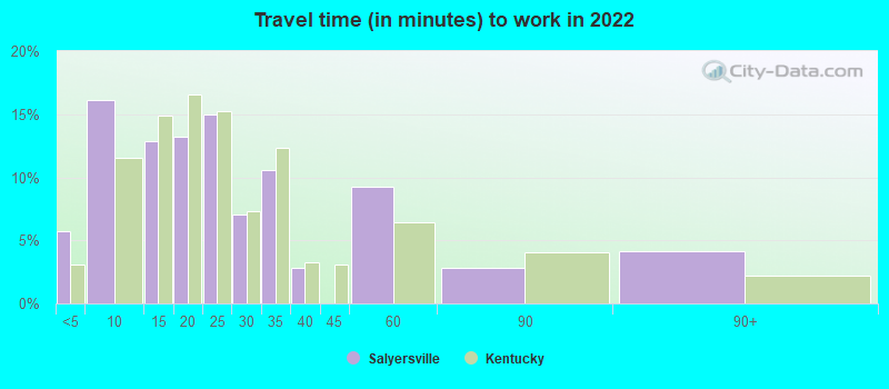 Travel time (in minutes) to work in 2022