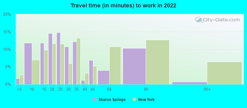 Travel time (in minutes) to work in 2022