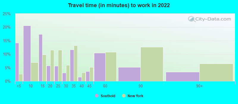 Travel time (in minutes) to work in 2022