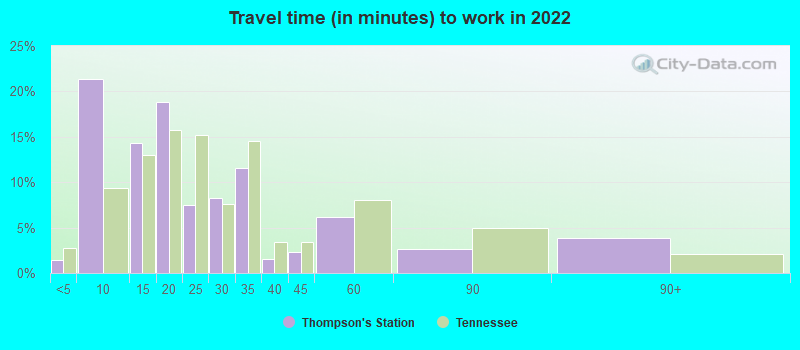 Travel time (in minutes) to work in 2022