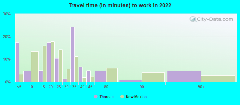 Travel time (in minutes) to work in 2022